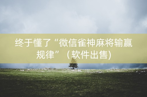 终于懂了“微信雀神麻将输赢规律”（软件出售)