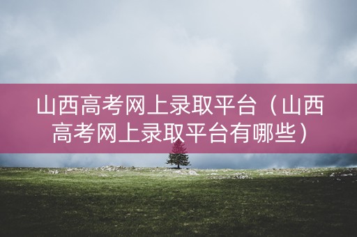 山西高考网上录取平台（山西高考网上录取平台有哪些）