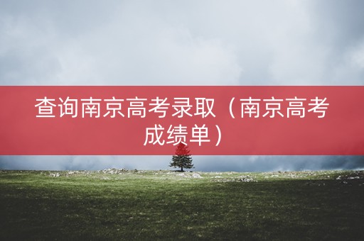 查询南京高考录取（南京高考成绩单）