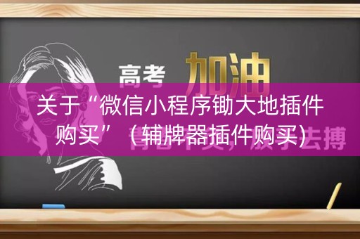 关于“微信小程序锄大地插件购买”（辅牌器插件购买)