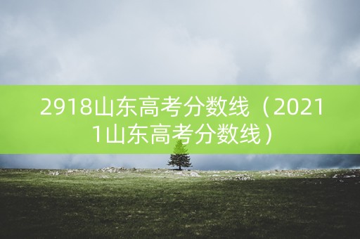 2918山东高考分数线（20211山东高考分数线）