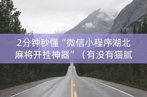 2分钟秒懂“微信小程序湖北麻将开挂神器”（有没有猫腻)