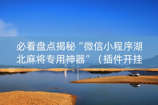 必看盘点揭秘“微信小程序湖北麻将专用神器”（插件开挂免费AI)