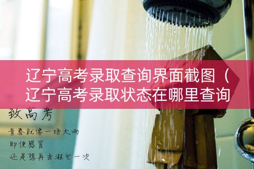 辽宁高考录取查询界面截图（辽宁高考录取状态在哪里查询）