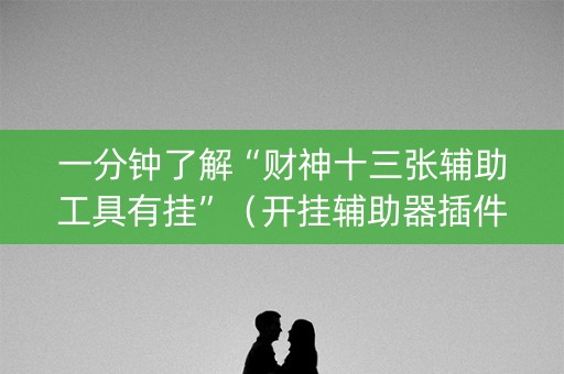一分钟了解“财神十三张辅助工具有挂”（开挂辅助器插件)