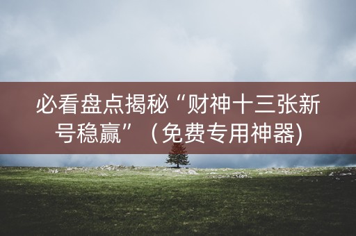 必看盘点揭秘“财神十三张新号稳赢”（免费专用神器)