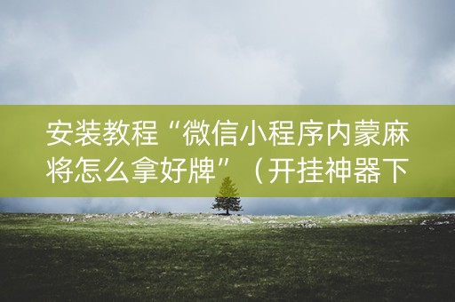 安装教程“微信小程序内蒙麻将怎么拿好牌”（开挂神器下载)