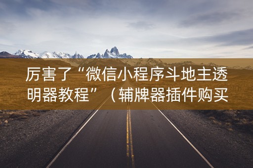厉害了“微信小程序斗地主透明器教程”（辅牌器插件购买)