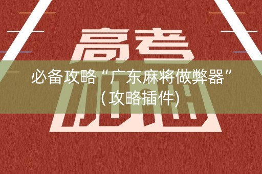 必备攻略“广东麻将做弊器”（攻略插件)