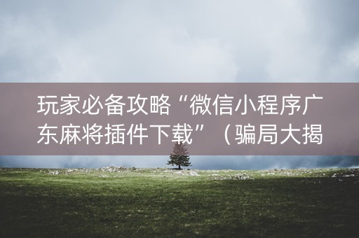 玩家必备攻略“微信小程序广东麻将插件下载”（骗局大揭秘)