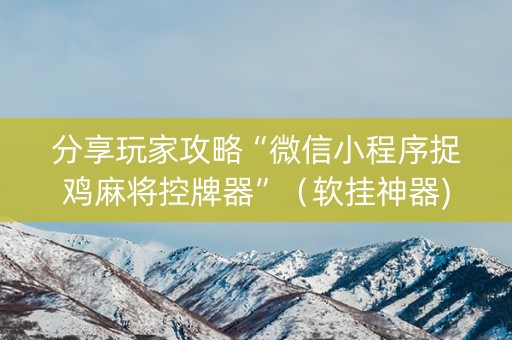 分享玩家攻略“微信小程序捉鸡麻将控牌器”（软挂神器)