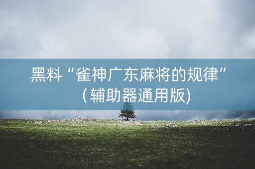 黑料“雀神广东麻将的规律”（辅助器通用版)