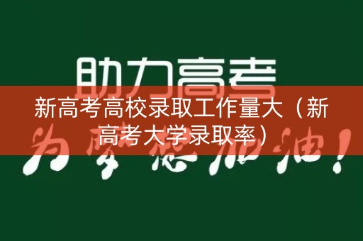 新高考高校录取工作量大（新高考大学录取率）
