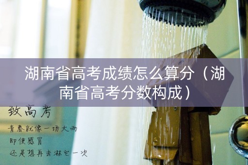湖南省高考成绩怎么算分（湖南省高考分数构成）