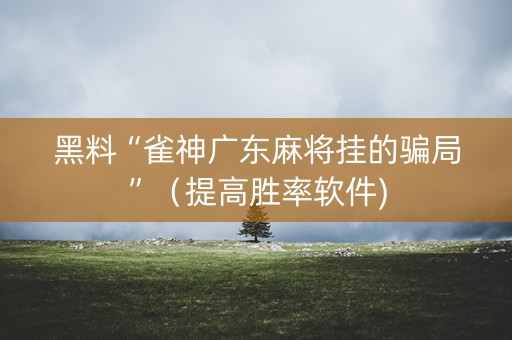 黑料“雀神广东麻将挂的骗局”（提高胜率软件)
