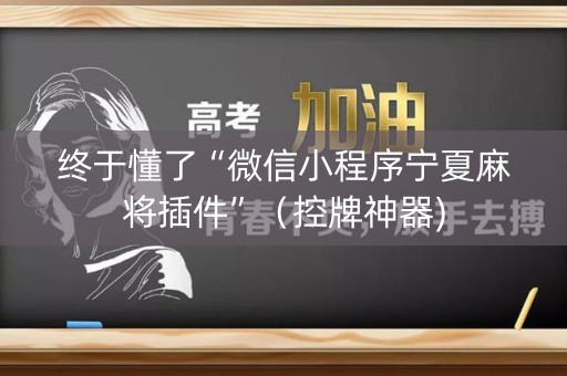 终于懂了“微信小程序宁夏麻将插件”（控牌神器)