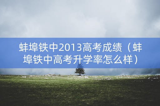 蚌埠铁中2013高考成绩（蚌埠铁中高考升学率怎么样）