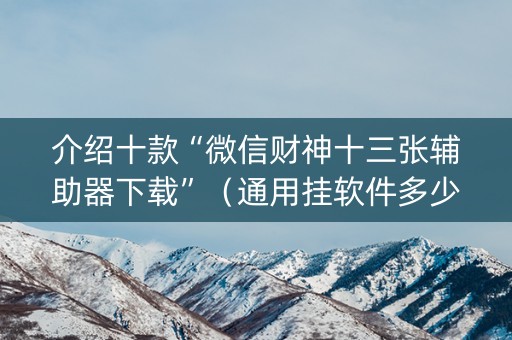 介绍十款“微信财神十三张辅助器下载”（通用挂软件多少钱)