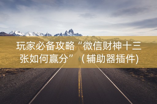 玩家必备攻略“微信财神十三张如何赢分”（辅助器插件)