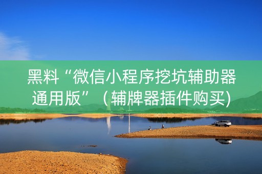 黑料“微信小程序挖坑辅助器通用版”（辅牌器插件购买)
