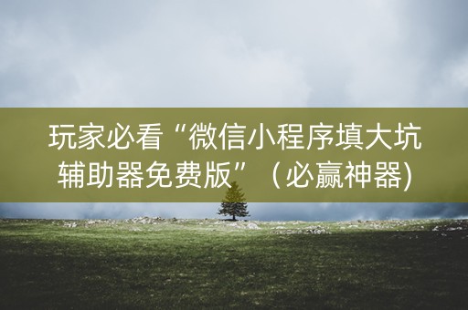 玩家必看“微信小程序填大坑辅助器免费版”（必赢神器)