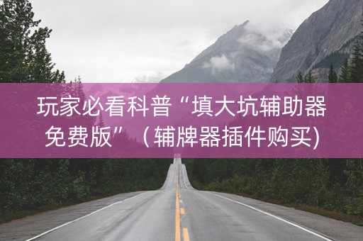 玩家必看科普“填大坑辅助器免费版”（辅牌器插件购买)