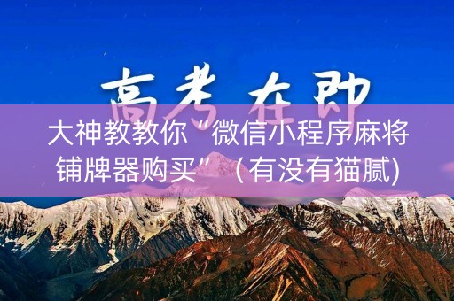 大神教教你“微信小程序麻将铺牌器购买”（有没有猫腻)
