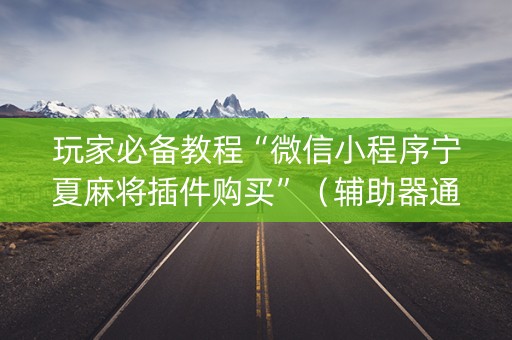 玩家必备教程“微信小程序宁夏麻将插件购买”（辅助器通用版)