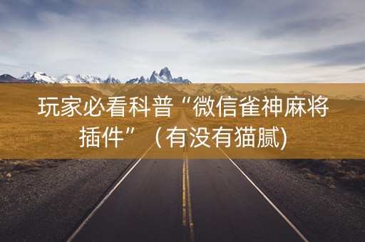 玩家必看科普“微信雀神麻将插件”（有没有猫腻)