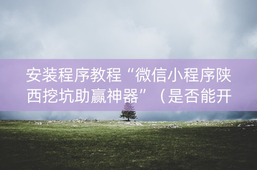 安装程序教程“微信小程序陕西挖坑助赢神器”（是否能开挂)