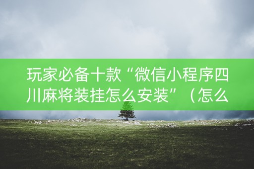 玩家必备十款“微信小程序四川麻将装挂怎么安装”（怎么让系统给自己好牌)