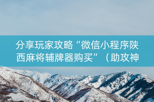 分享玩家攻略“微信小程序陕西麻将辅牌器购买”（助攻神器)