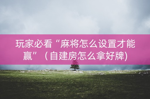 玩家必看“麻将怎么设置才能赢”（自建房怎么拿好牌)