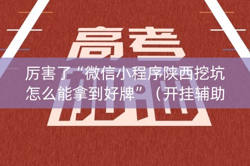 厉害了“微信小程序陕西挖坑怎么能拿到好牌”（开挂辅助脚本)