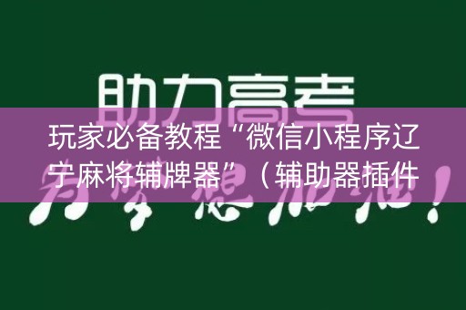 玩家必备教程“微信小程序辽宁麻将辅牌器”（辅助器插件)