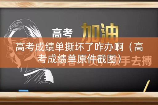 高考成绩单撕坏了咋办啊（高考成绩单原件截图）