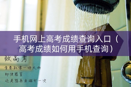 手机网上高考成绩查询入口（高考成绩如何用手机查询）