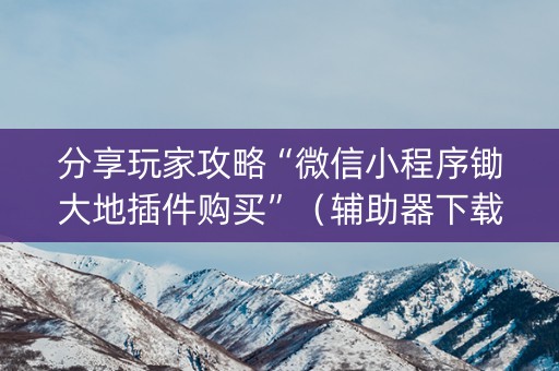 分享玩家攻略“微信小程序锄大地插件购买”（辅助器下载)