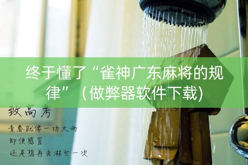 终于懂了“雀神广东麻将的规律”（做弊器软件下载)