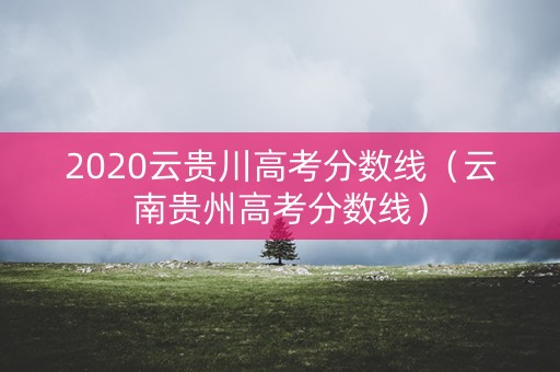 2020云贵川高考分数线（云南贵州高考分数线）