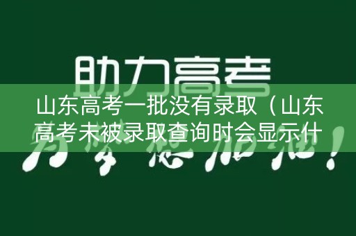 山东高考一批没有录取（山东高考未被录取查询时会显示什么）