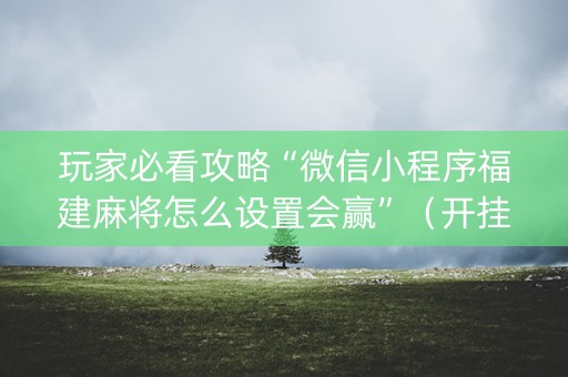 玩家必看攻略“微信小程序福建麻将怎么设置会赢”（开挂辅助器插件)