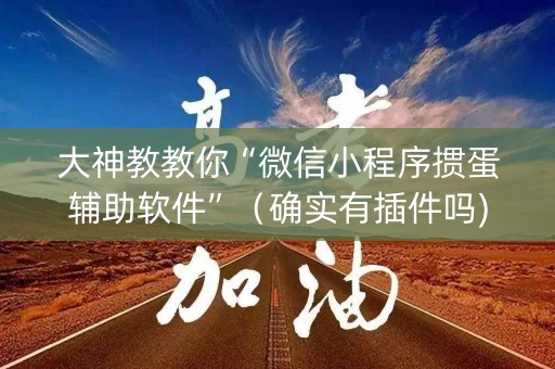 大神教教你“微信小程序掼蛋辅助软件”（确实有插件吗)