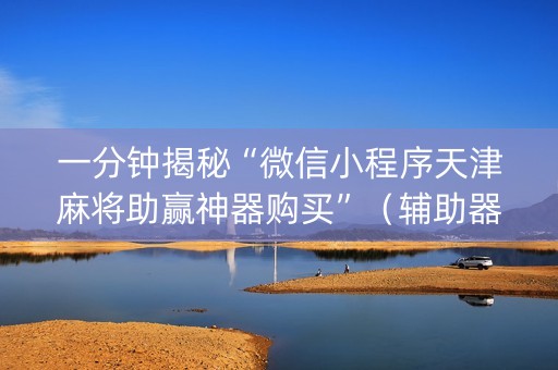 一分钟揭秘“微信小程序天津麻将助赢神器购买”（辅助器插件)