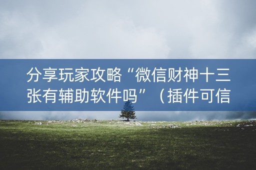 分享玩家攻略“微信财神十三张有辅助软件吗”（插件可信吗)