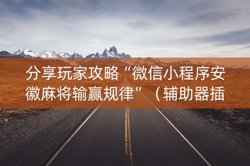 分享玩家攻略“微信小程序安徽麻将输赢规律”（辅助器插件)