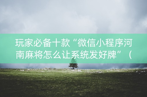 玩家必备十款“微信小程序河南麻将怎么让系统发好牌”（免费辅助)