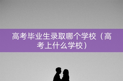 高考毕业生录取哪个学校（高考上什么学校）
