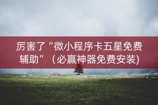 厉害了“微小程序卡五星免费辅助”（必赢神器免费安装)