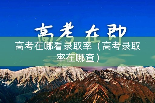 高考在哪看录取率（高考录取率在哪查）